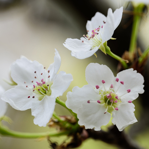 美女内裤㊙️露出奶头的网站
